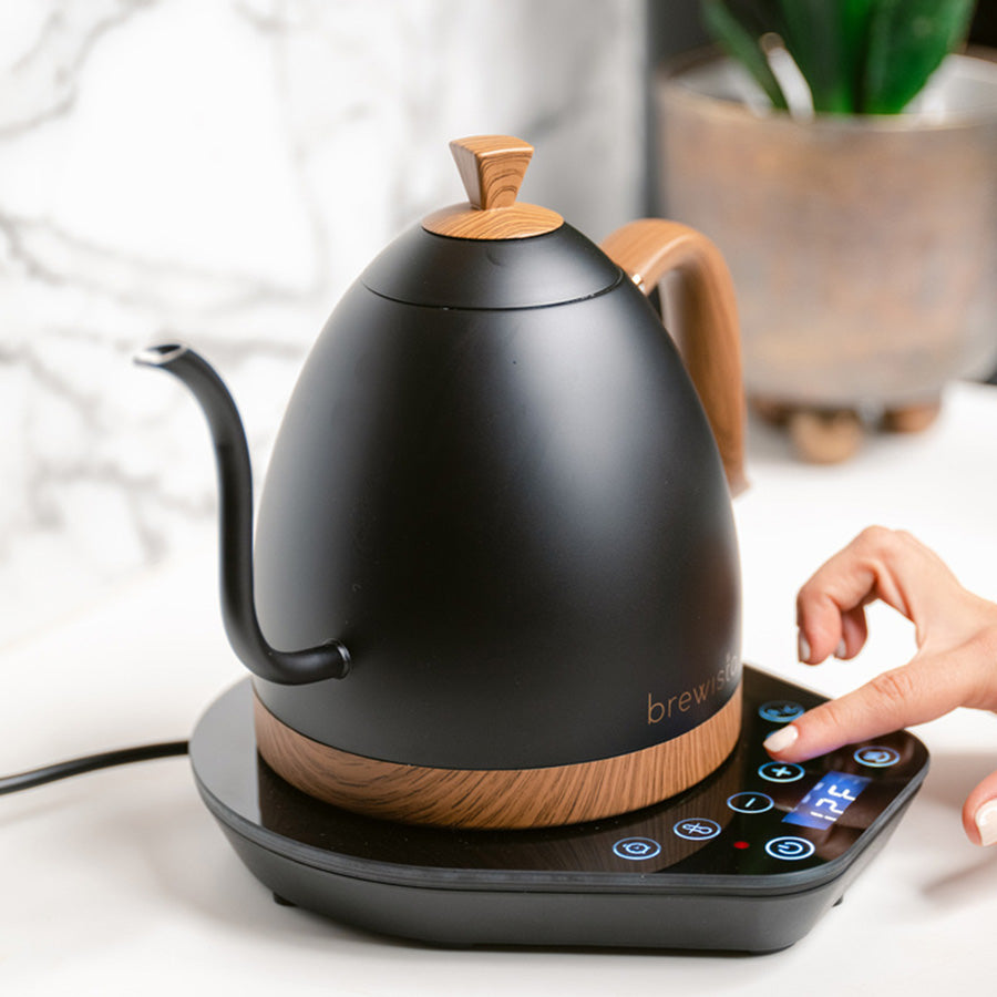 Brewista Artisan 1.0L Gooseneck Variable Kettle - mattschwarz