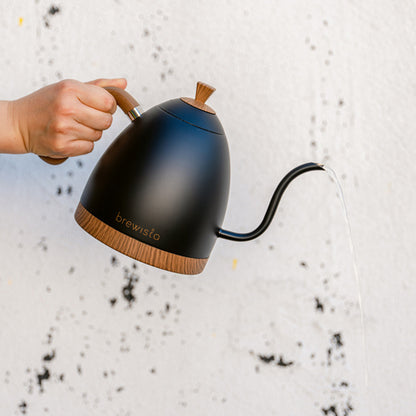 Brewista Artisan 1.0L Gooseneck Variable Kettle - mattschwarz