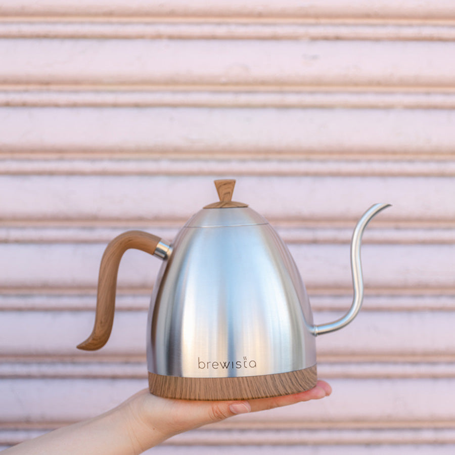 Brewista Artisan 1.0L Gooseneck Variable Kettle - Stainless Steel