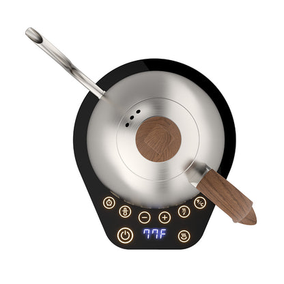 Brewista Artisan 1.0L Gooseneck Variable Kettle - Stainless Steel