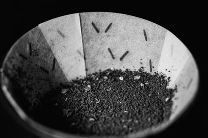 Graycano Filter Kaffee Zubereitung