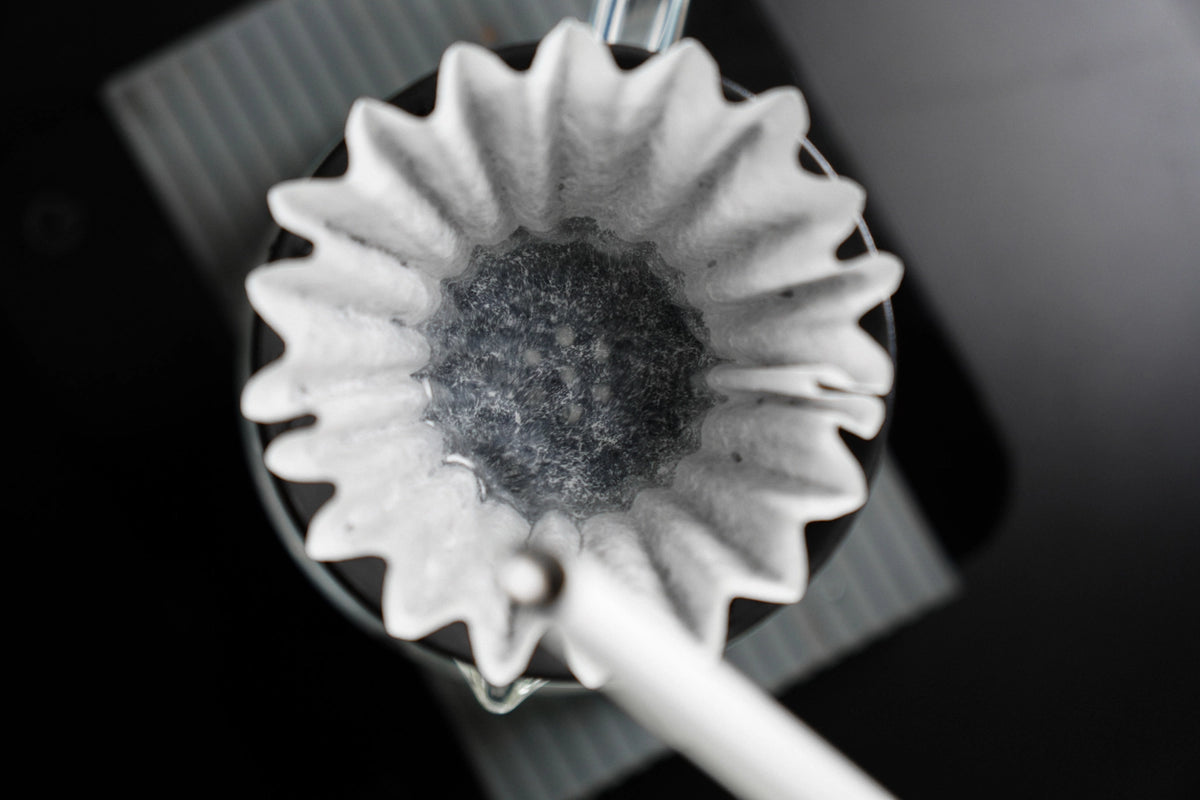 Graycano Filter Kaffee Zubereitung Coin